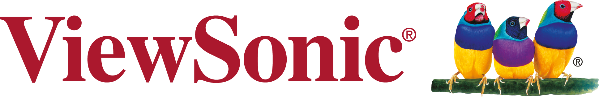 ViewSonic