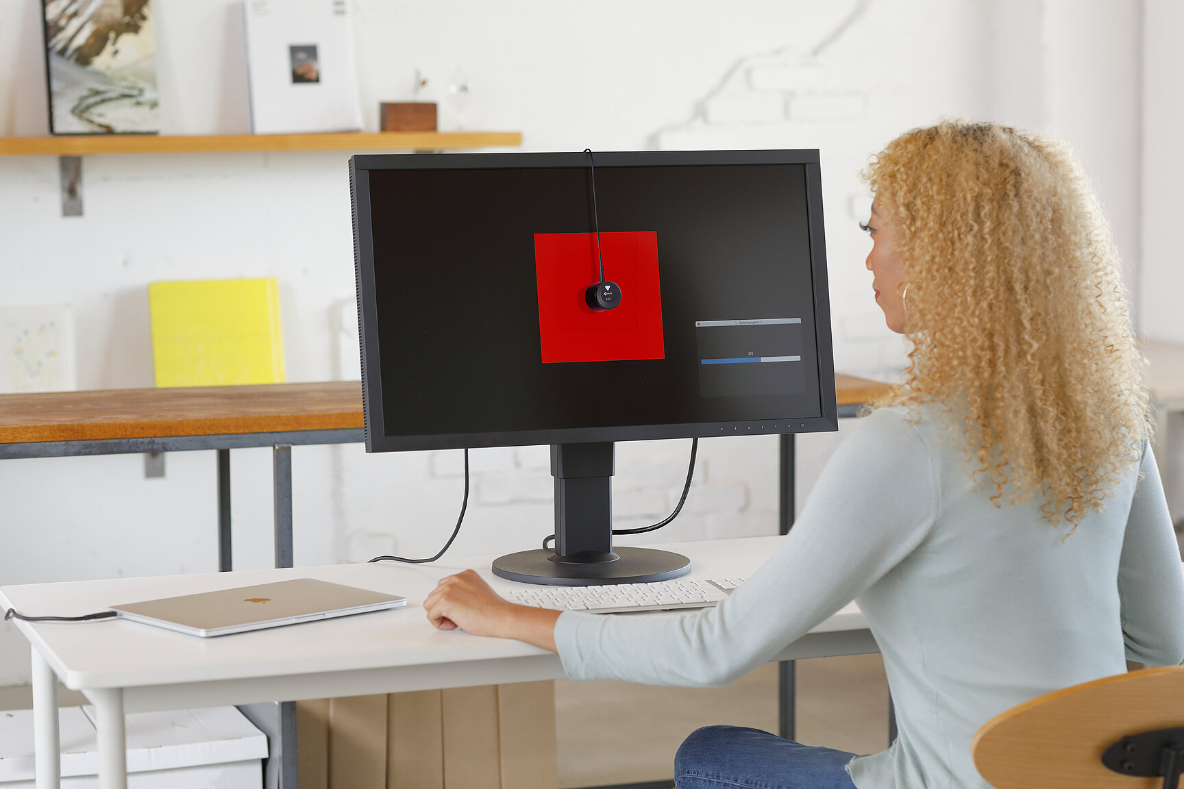 EIZO EX 5 Colorimeter 