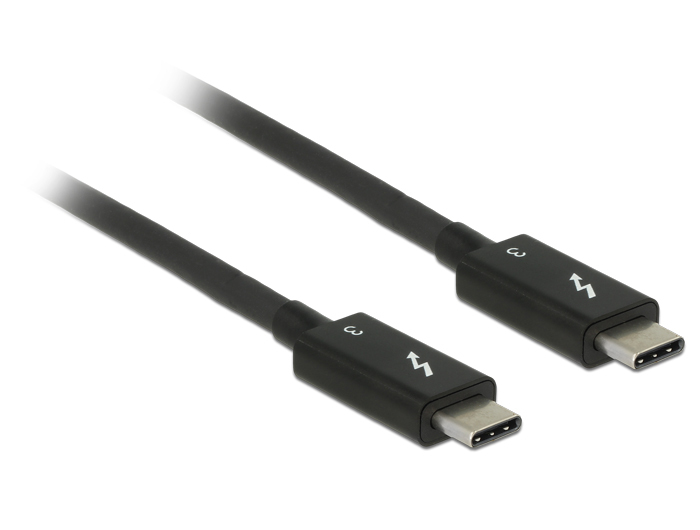 Delock Thunderbolt-Kabel - USB-C (M) bis USB-C (M)
