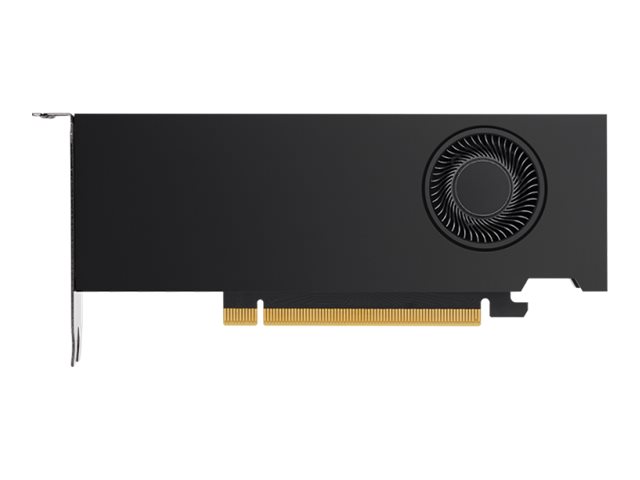 NVIDIA RTX A2000 - 12 GB